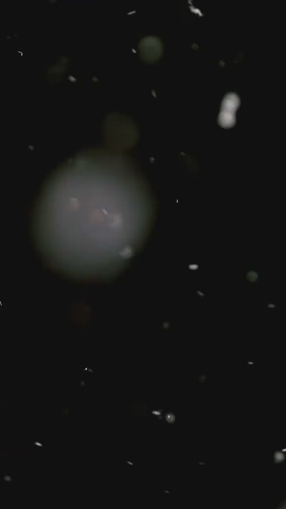 KRAKEN Trolling Witch - SHIMMER Troll